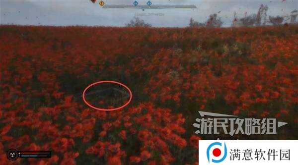 潜行者2一直死怎么过   **田任务攻略图片5