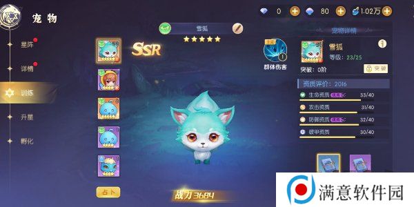 天启圣源宠物搭配攻略 天启圣源宠物怎么搭配好