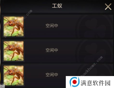 小小蚁国攻略大全 新手少走弯路技巧总汇图片2