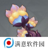 原神基尼奇突破材料有哪些 基尼奇突破材料在哪里获取[多图]图片2