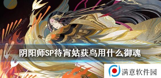 阴阳师SP姑获鸟御魂怎么搭配 SP姑获鸟御魂搭配推荐图片1